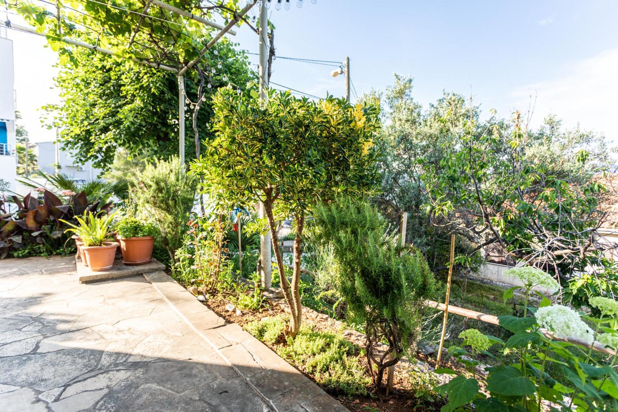 Seaview Holiday Apartments Slatine Dış mekan fotoğraf